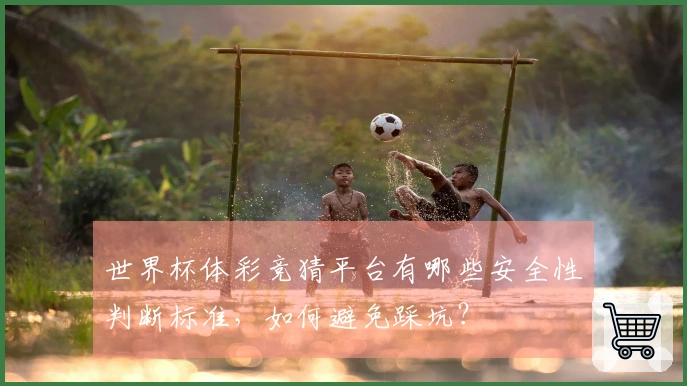 世界杯体彩竞猜平台有哪些安全性判断标准，如何避免踩坑？