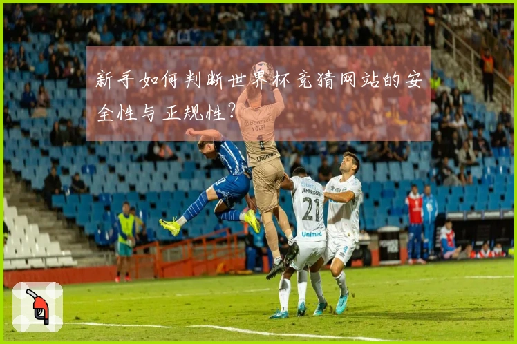 新手如何判断世界杯竞猜网站的安全性与正规性？